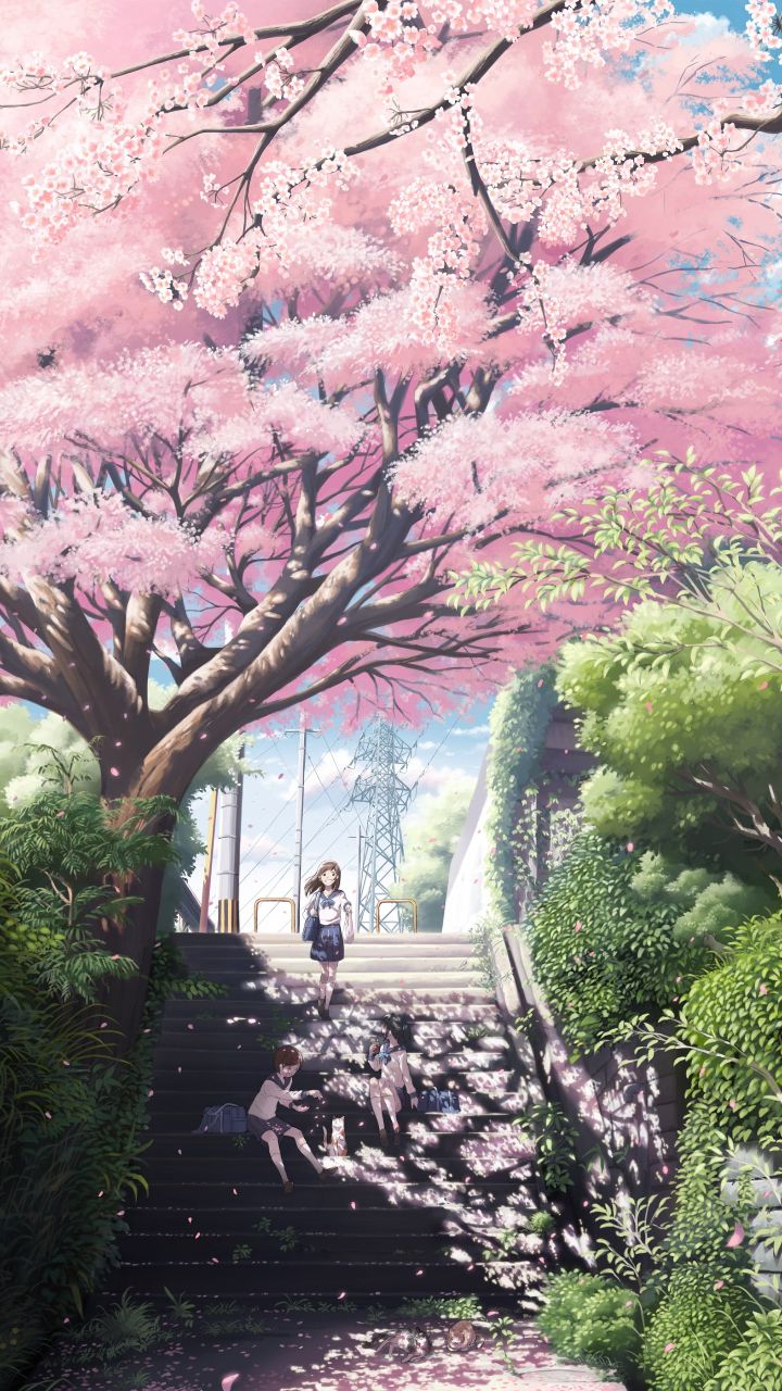 Pin su cherry blossom1