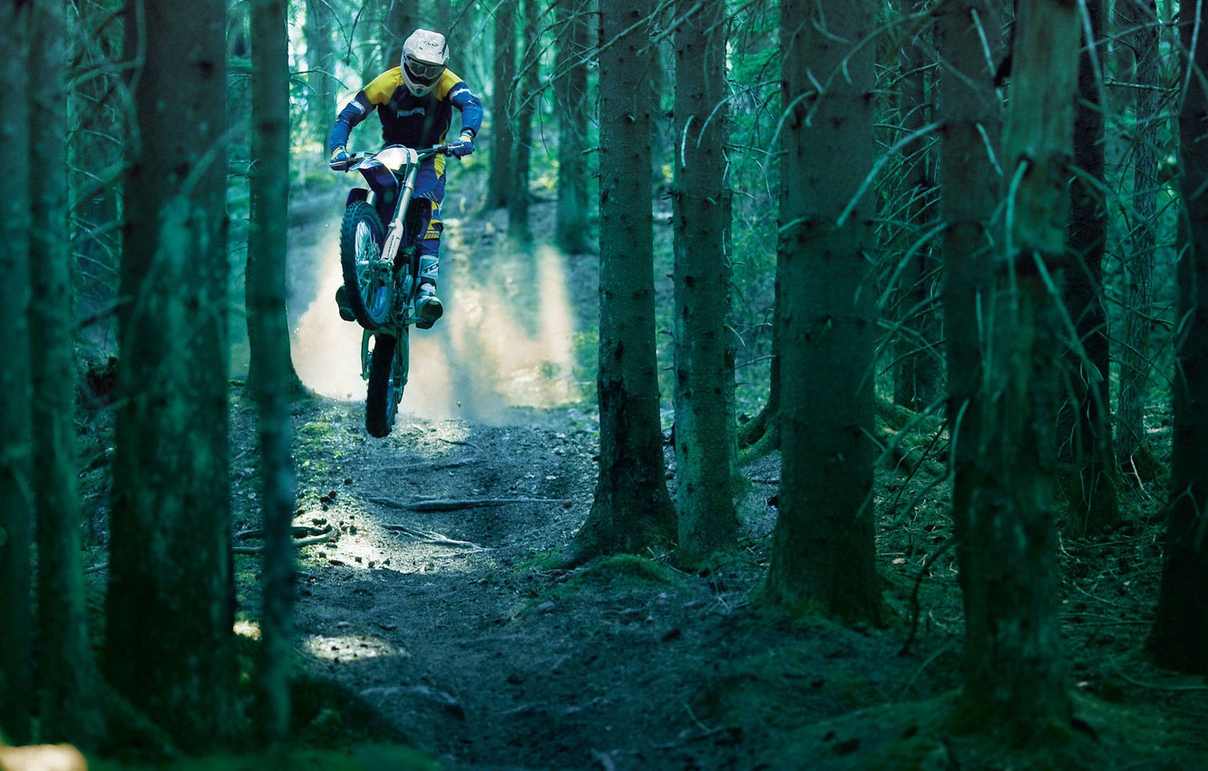 Wallpaper forest, trees, earth, dirt bike image for desktop, section спорт