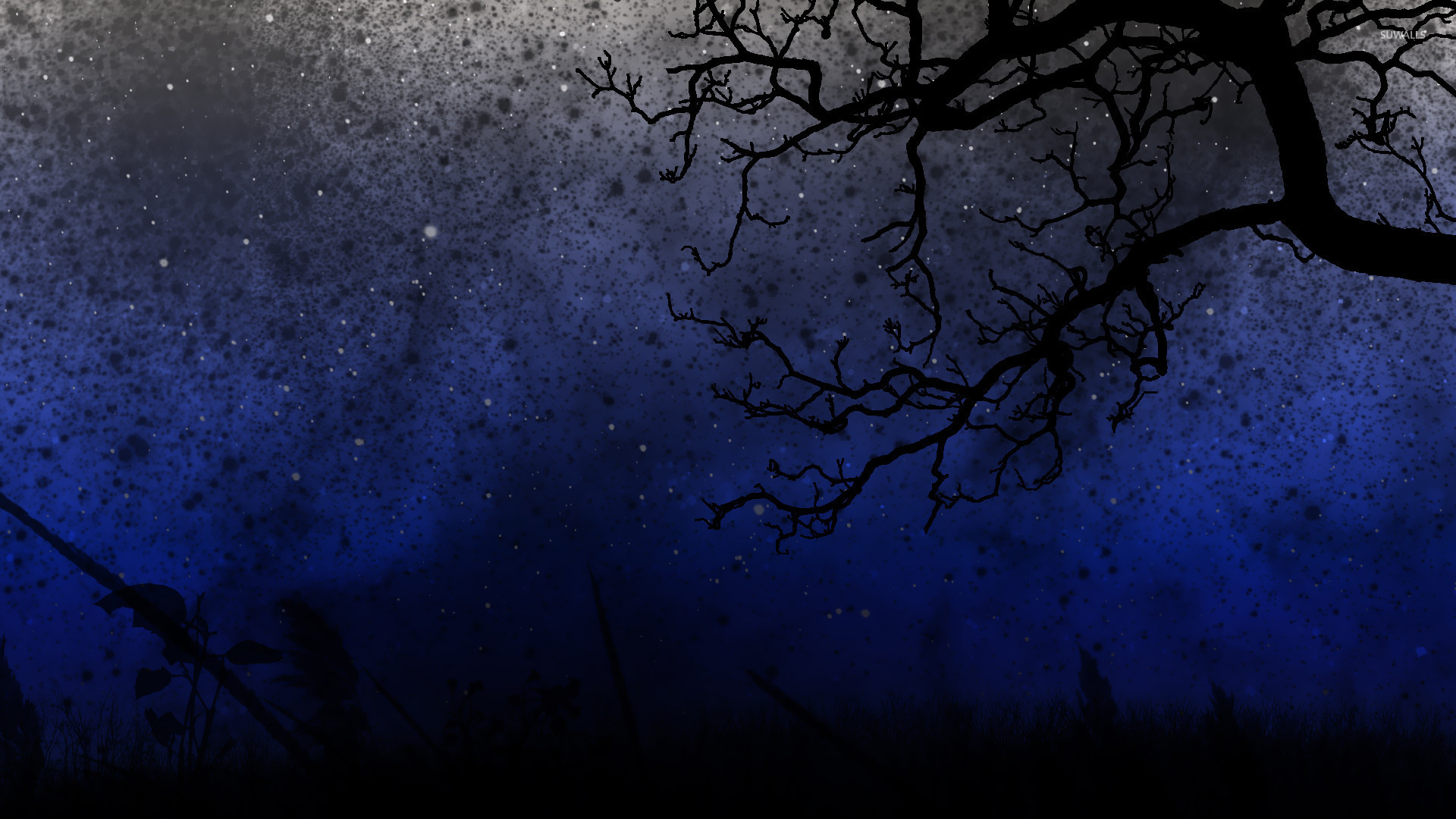 Free download Starry night sky wallpaper Digital Art wallpaper 15836 [1680x1050] for your Desktop, Mobile & Tablet. Explore Free Starry Night Sky Wallpaper. Night Sky Wallpaper HD, Night Sky