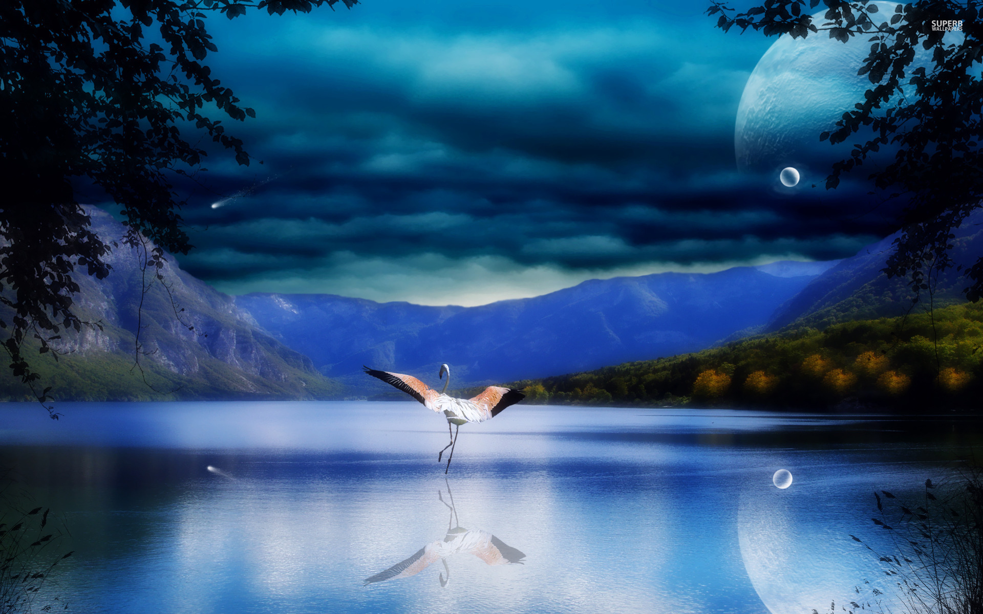 Flamingo On Moonlit Lake, Sky, Night, Bird, Digital Art Wallpaper. Flamingo On Moonlit Lake, Sky, Night, Bird, Di