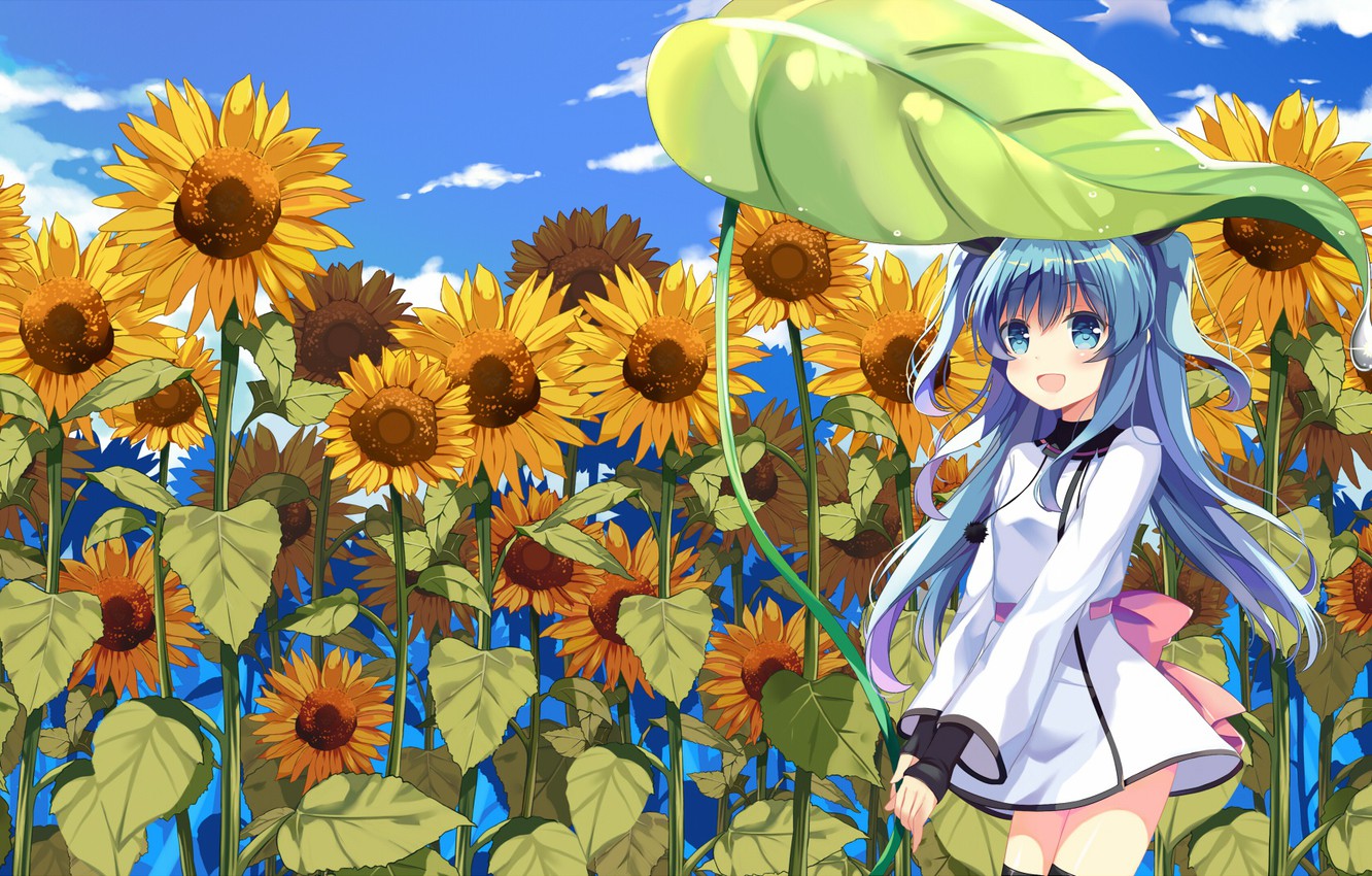 Wallpaper field, sunflowers, anime, art, girl image for desktop, section прочее