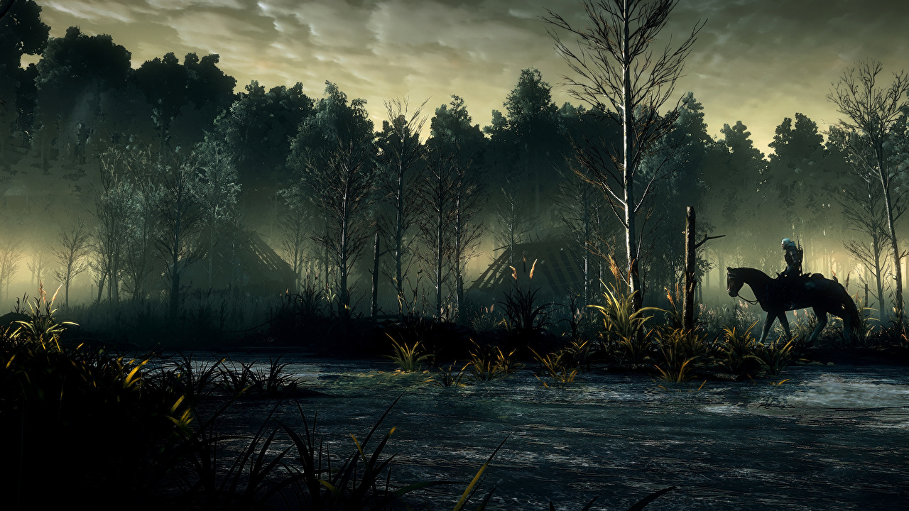 Desktop Wallpaper The Witcher 3: Wild Hunt horse Fog Games Forests