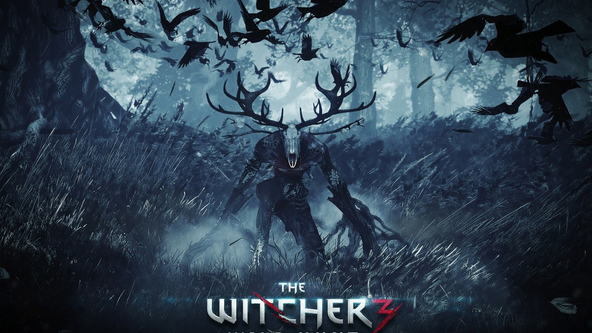The Witcher Desktop Background Live Wallpaper HD