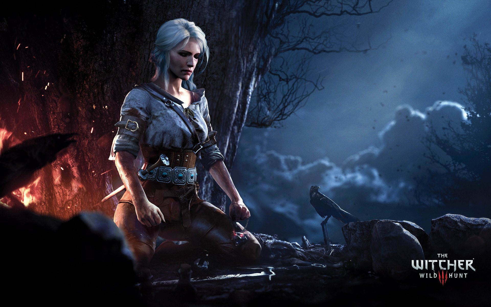 The Witcher 3 Ciri Desktop Wallpaper 49164