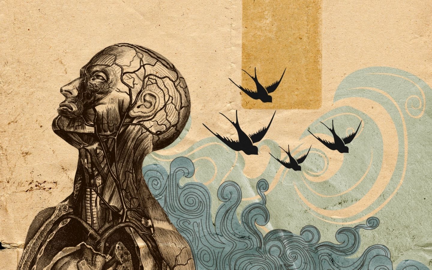 Abstract Anatomy Wallpaper