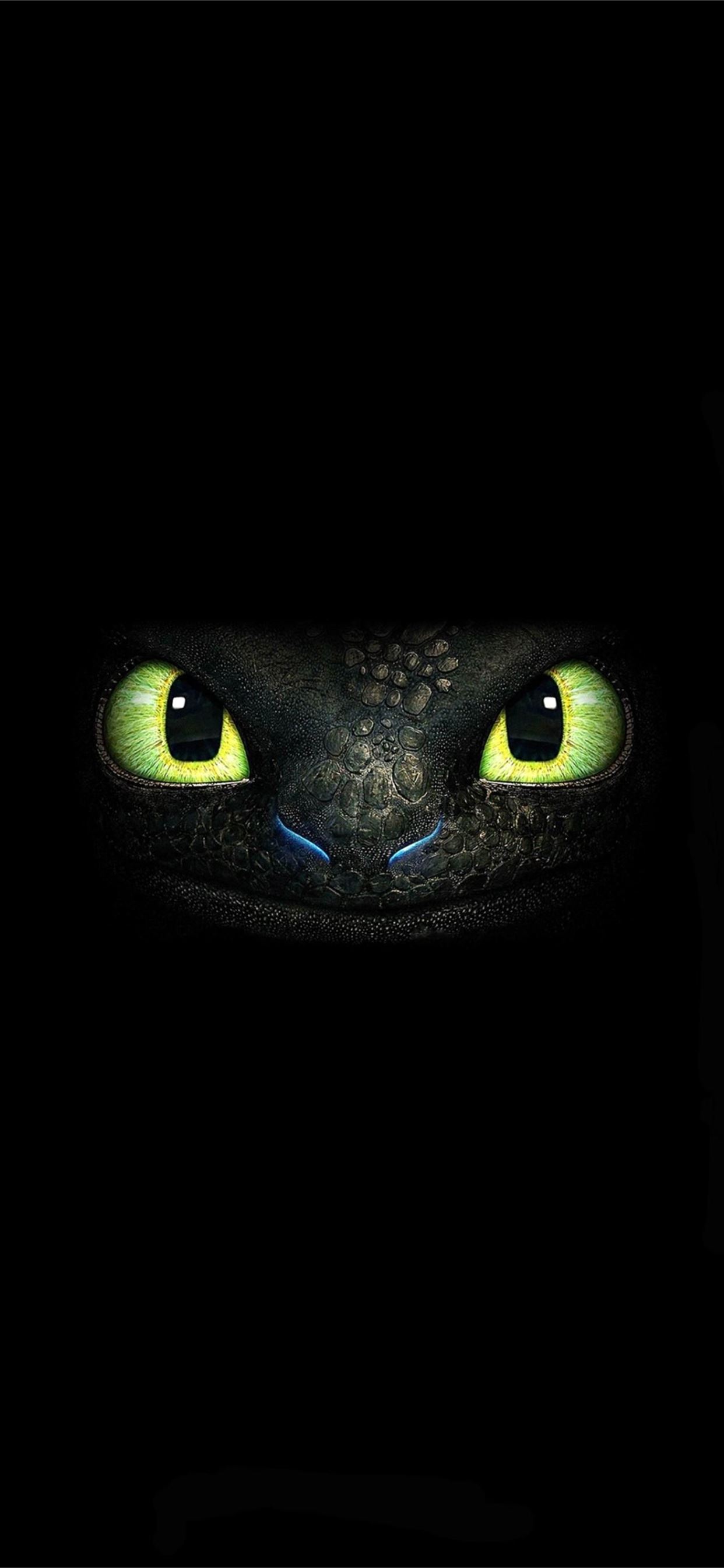 how to train your dragon iPhone Wallpaper Free Download