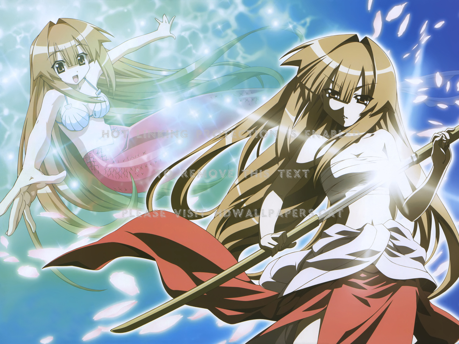 seto no hanayome san girl sword bride anime