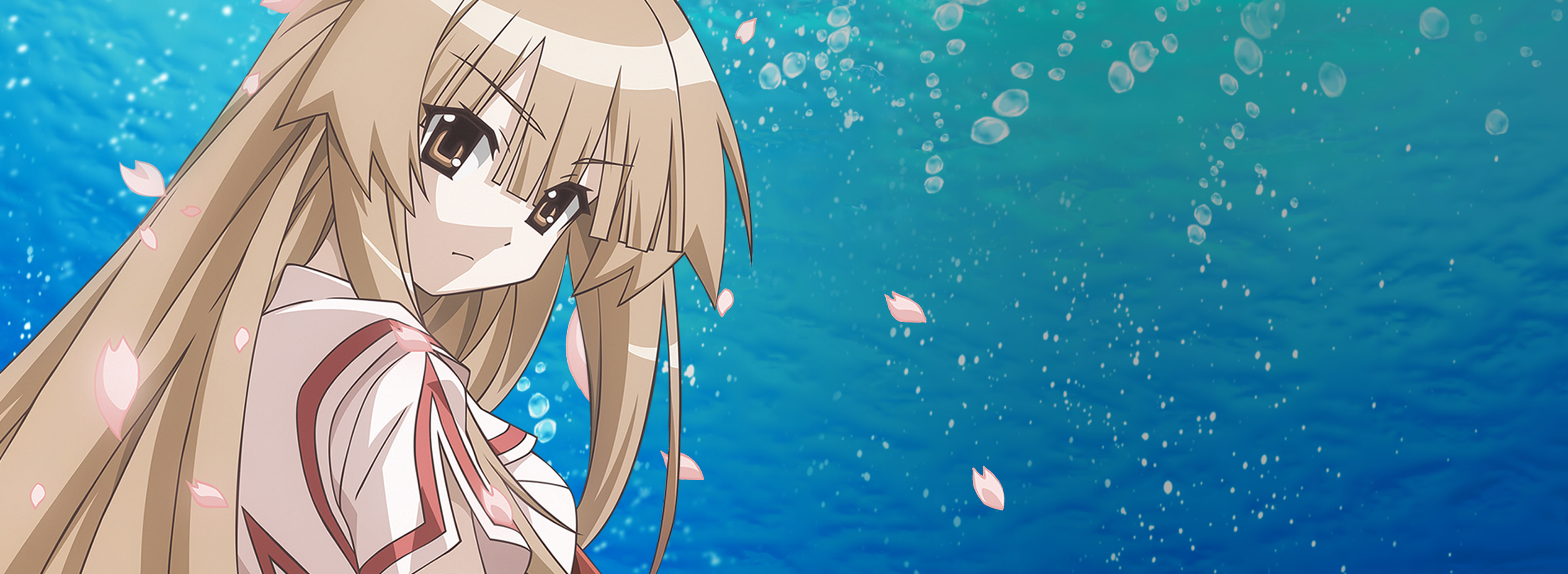 Seto No Hanayome HD Wallpaper