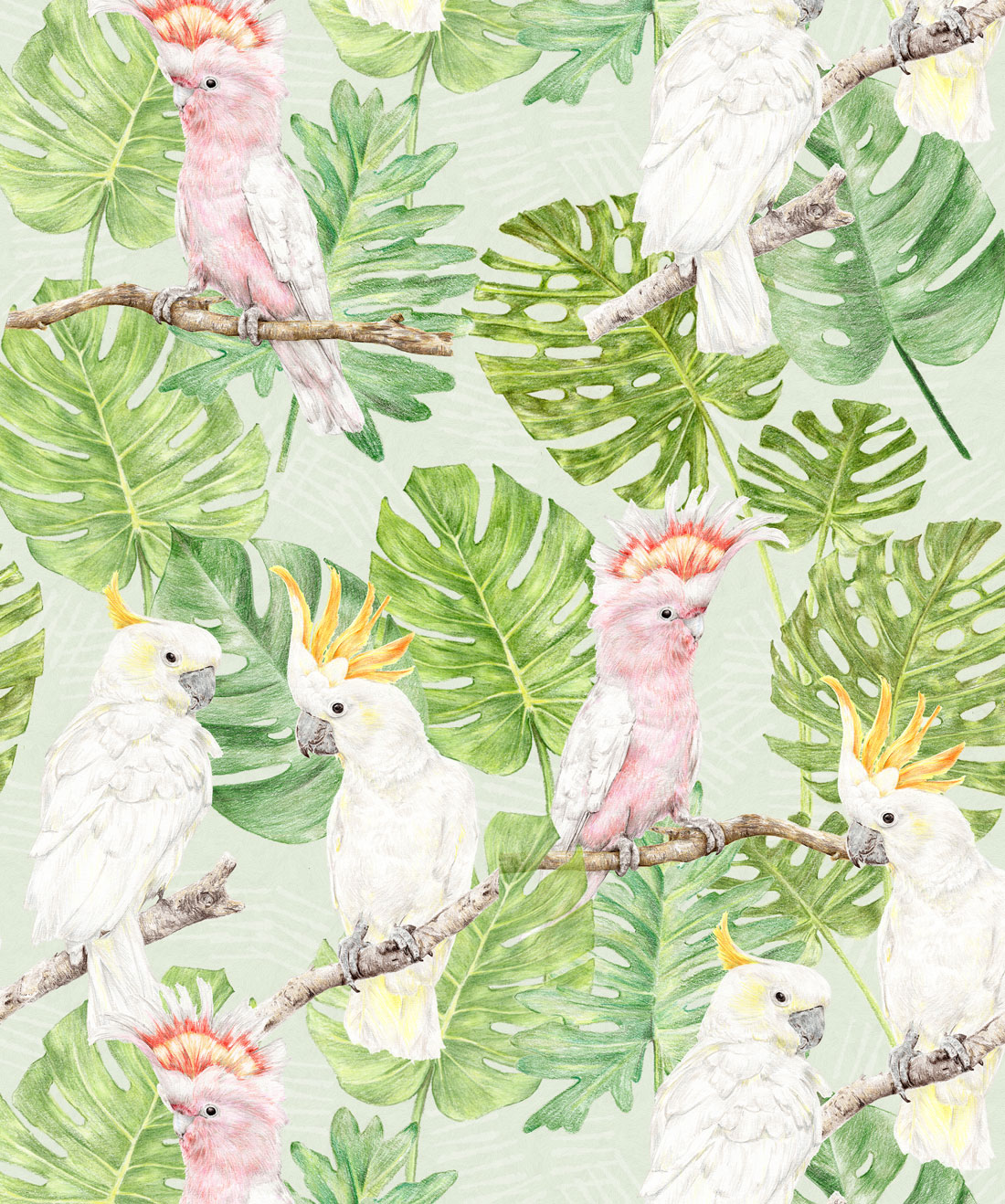 Tropical Cockatoos • Birght Tropical Bird Wallpaper