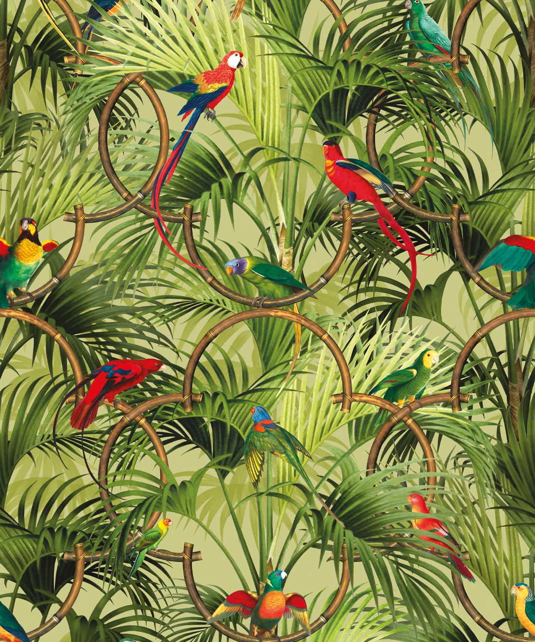 Copacabana Wallpaper • Tropical Bird Wallpaper USA