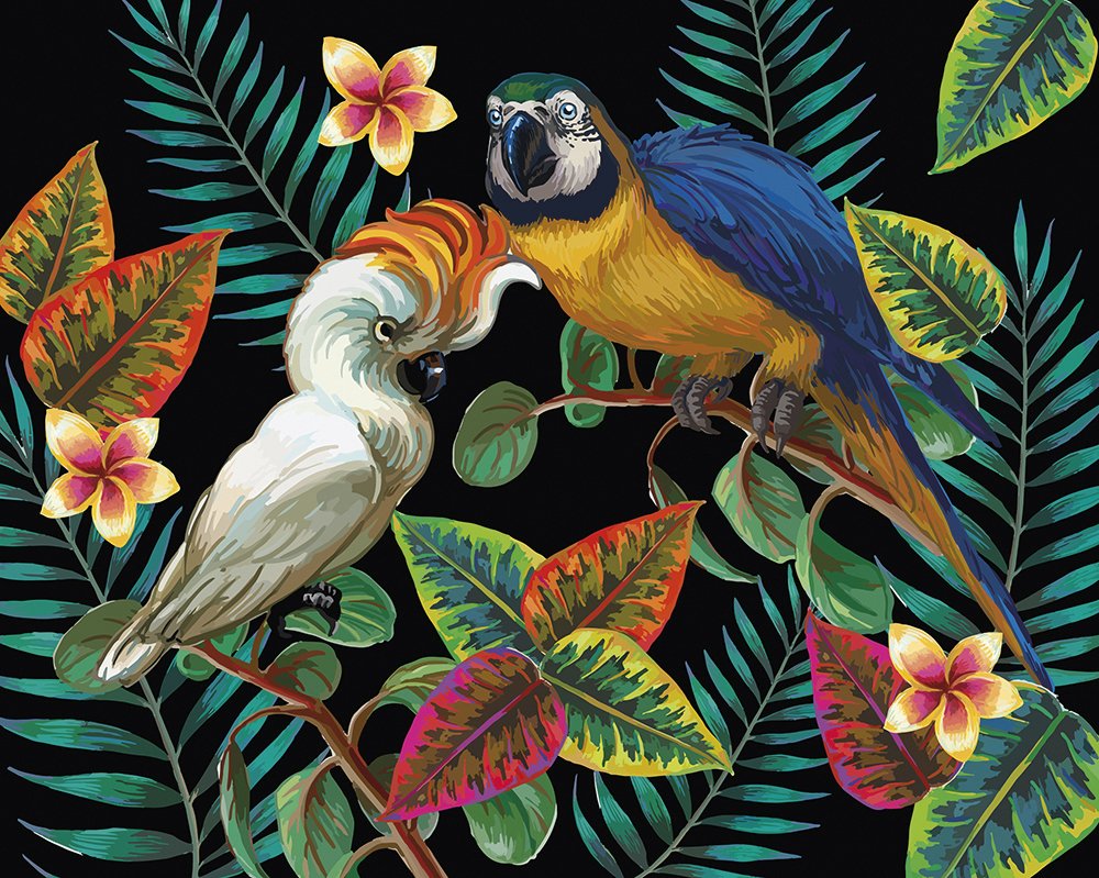 Tropical Bird Art Wallpaper Free Tropical Bird Art Background