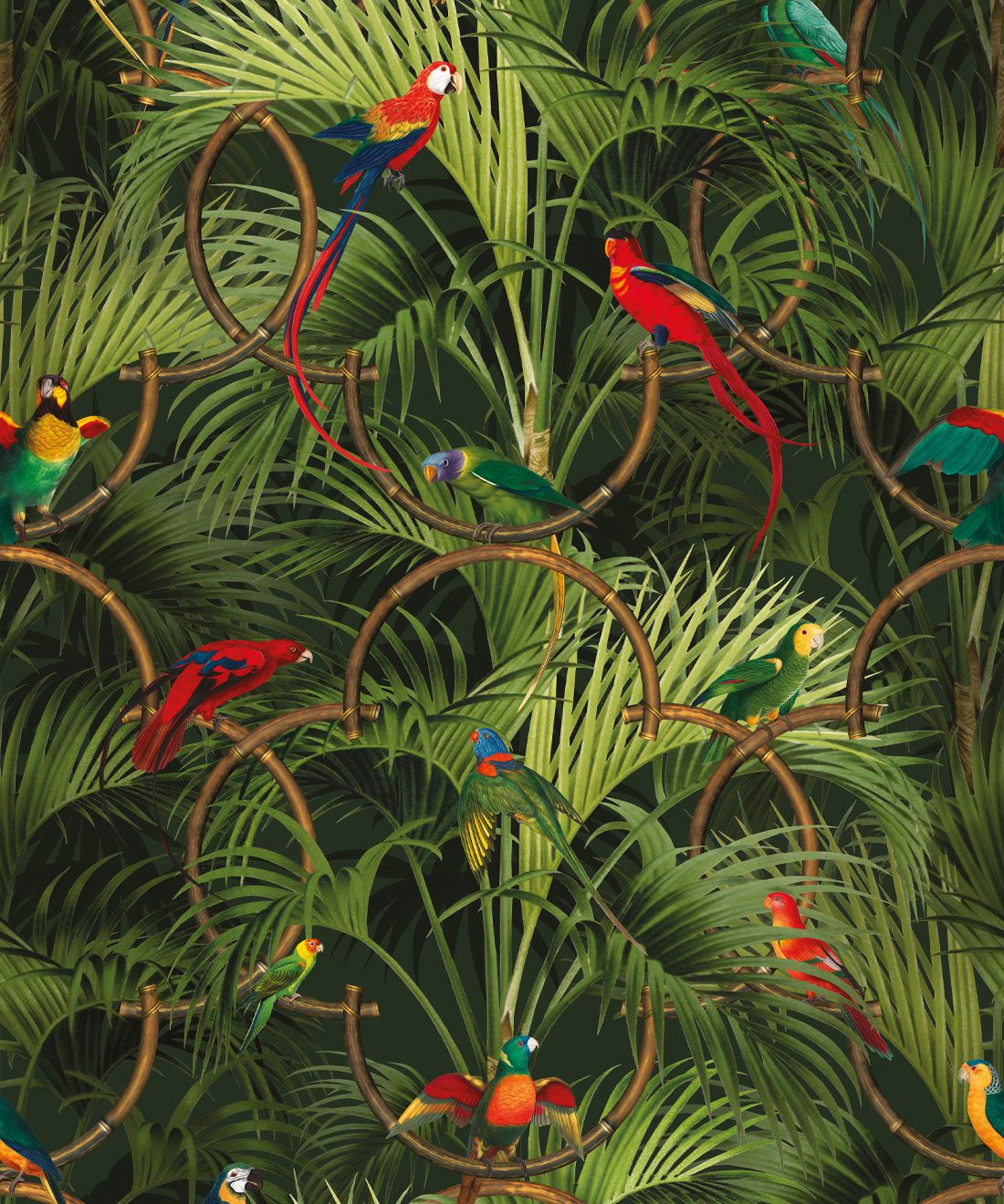 Tropical Bird Wallpaper • Bold, Bright & Very Tropical