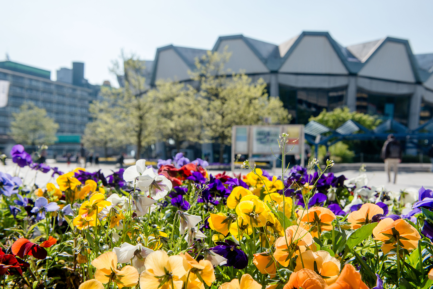 Picture Gallery Universität Bochum