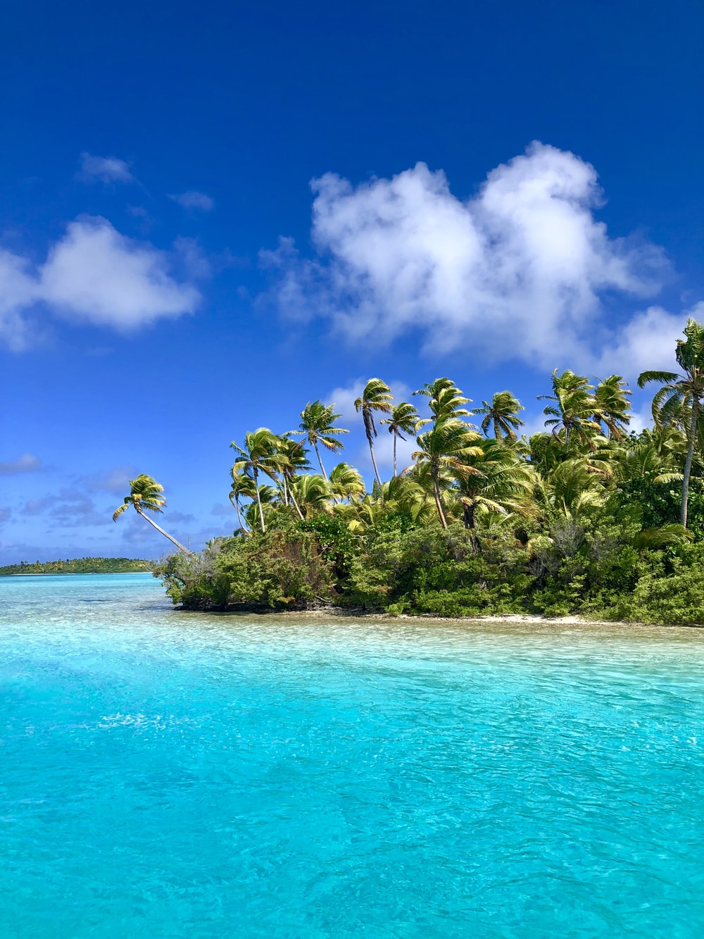 Cook Islands Picture. Download Free Image