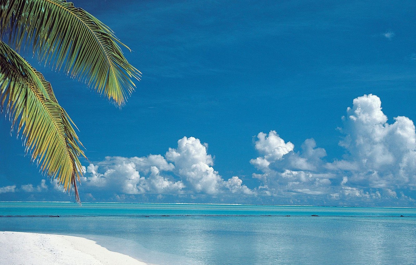 Wallpaper Beach, Aitutaki, Cook Islands image for desktop, section пейзажи