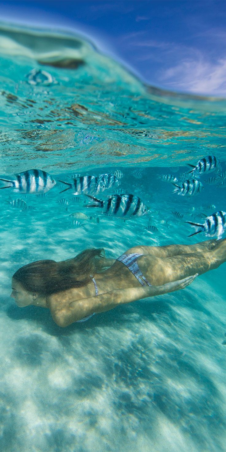 Cook Islands. Ocean creatures, Ocean life, Sea world