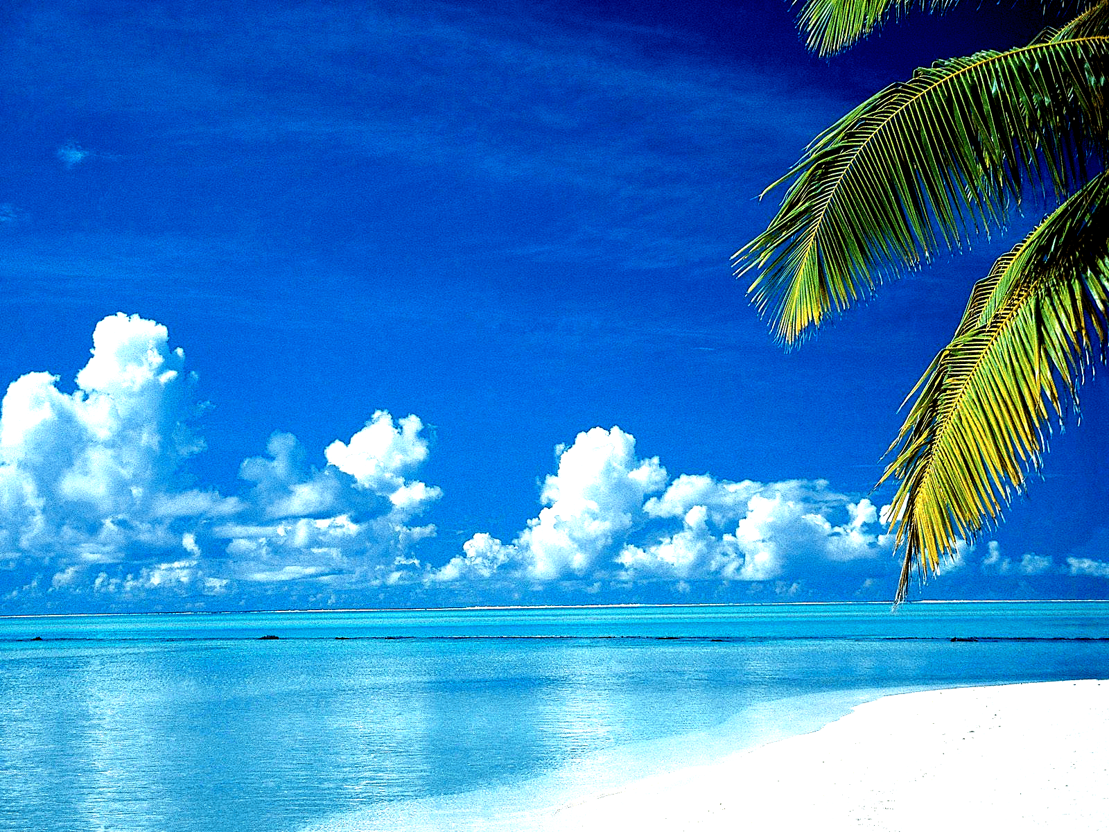 Cook Islands Wallpapers - Wallpaper Cave