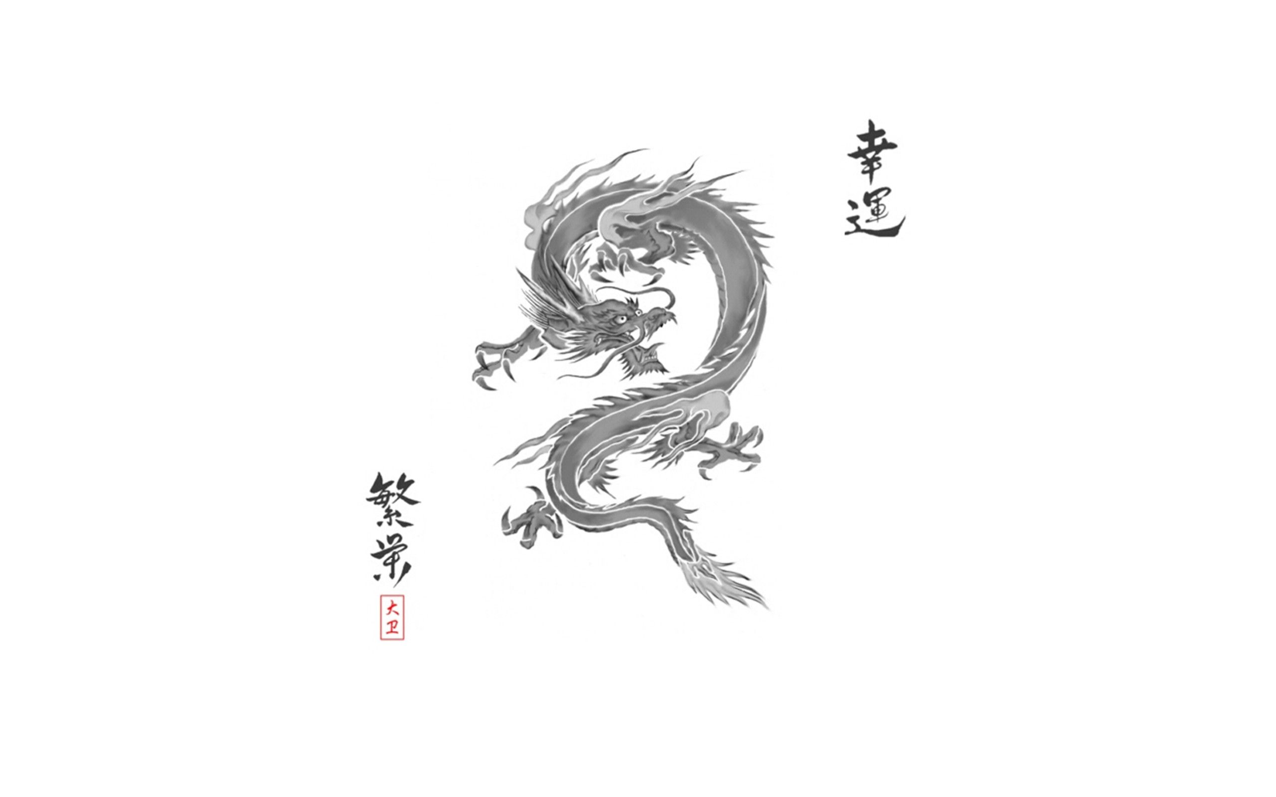 White Dragon Ninja Wallpaper