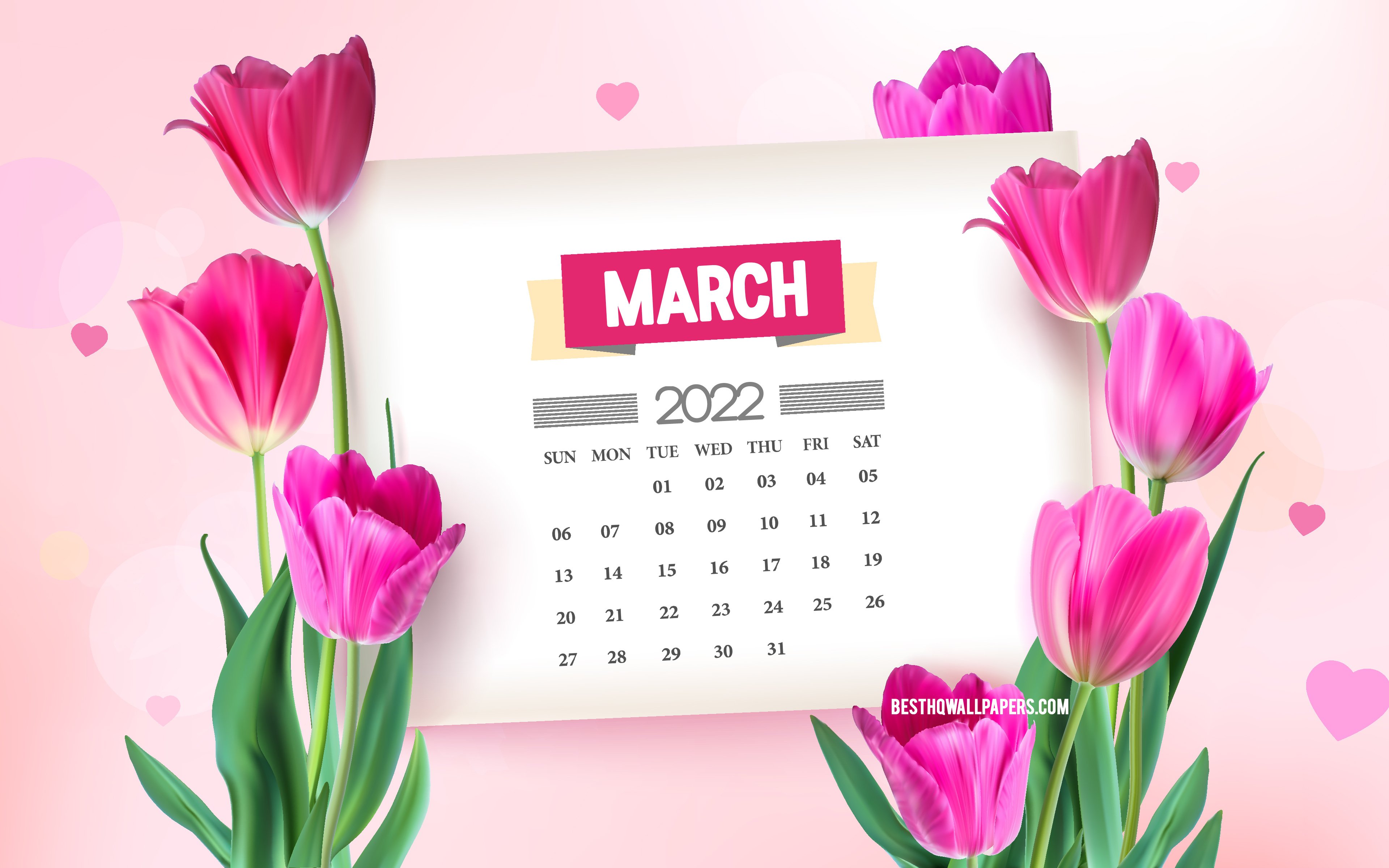 Download wallpaper March 2022 Calendar, 4k, pink tulips, spring background with tulips, March, 2022 spring calendars, spring flowers, 2022 March Calendar for desktop with resolution 3840x2400. High Quality HD picture wallpaper