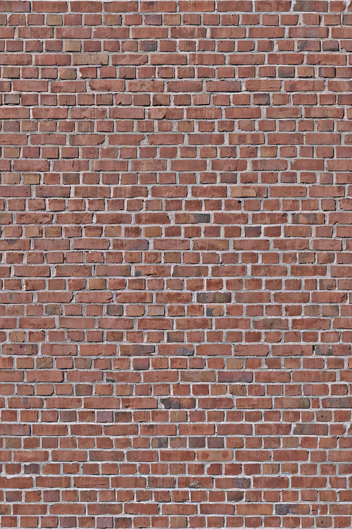 Brick Wall, red
