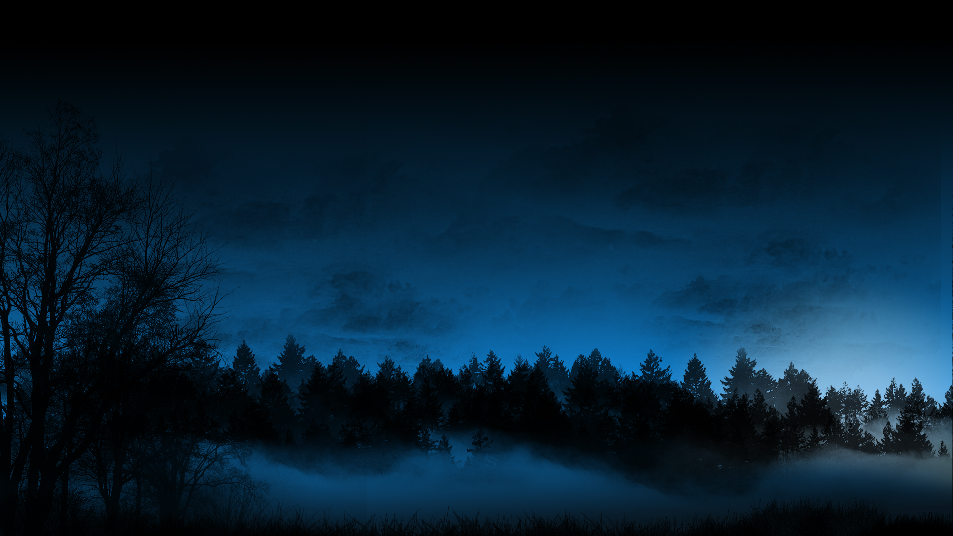 Cloud Cold Dark Fog Forest Landscape Night Winter Wallpaper:1920x1080