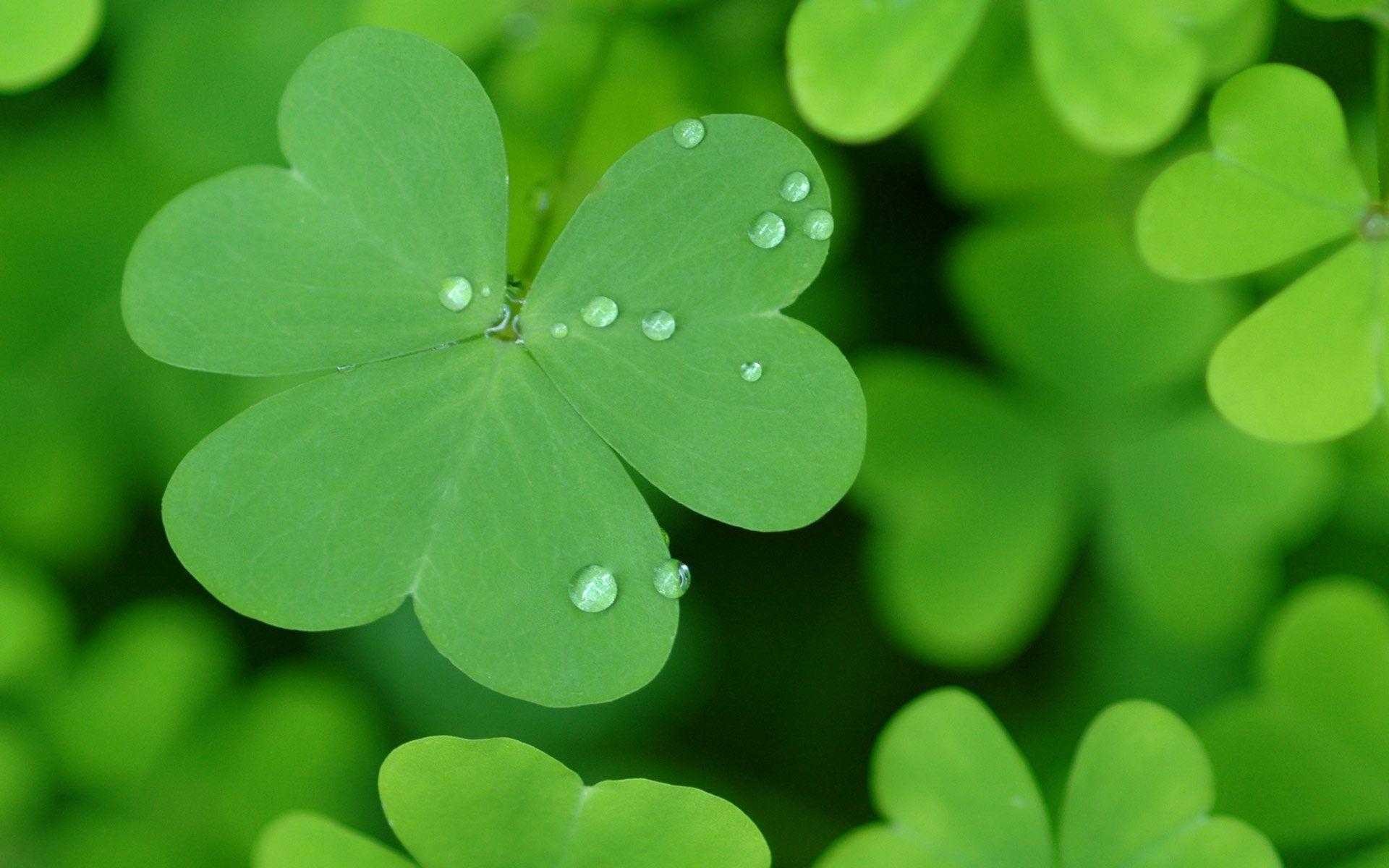 St Patricks Day Desktop Wallpaper background picture