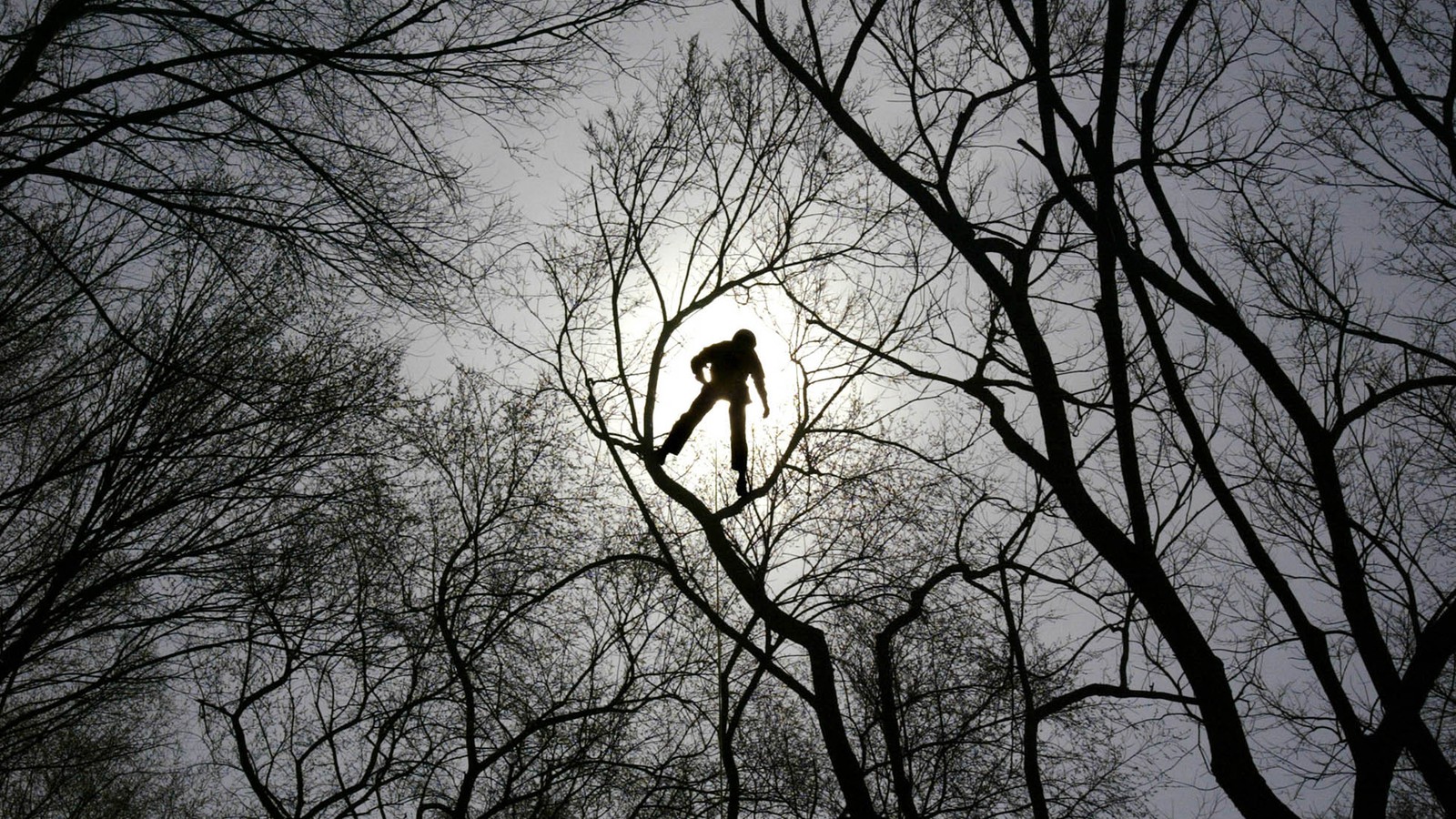 Nine of the Most Dangerous Jobs in the U.S