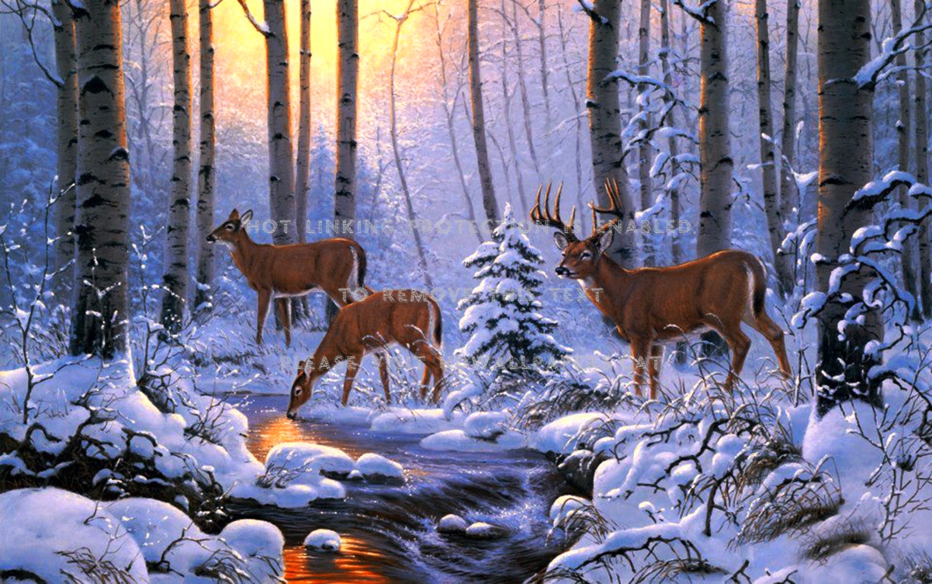 winter scene art forest painting deers