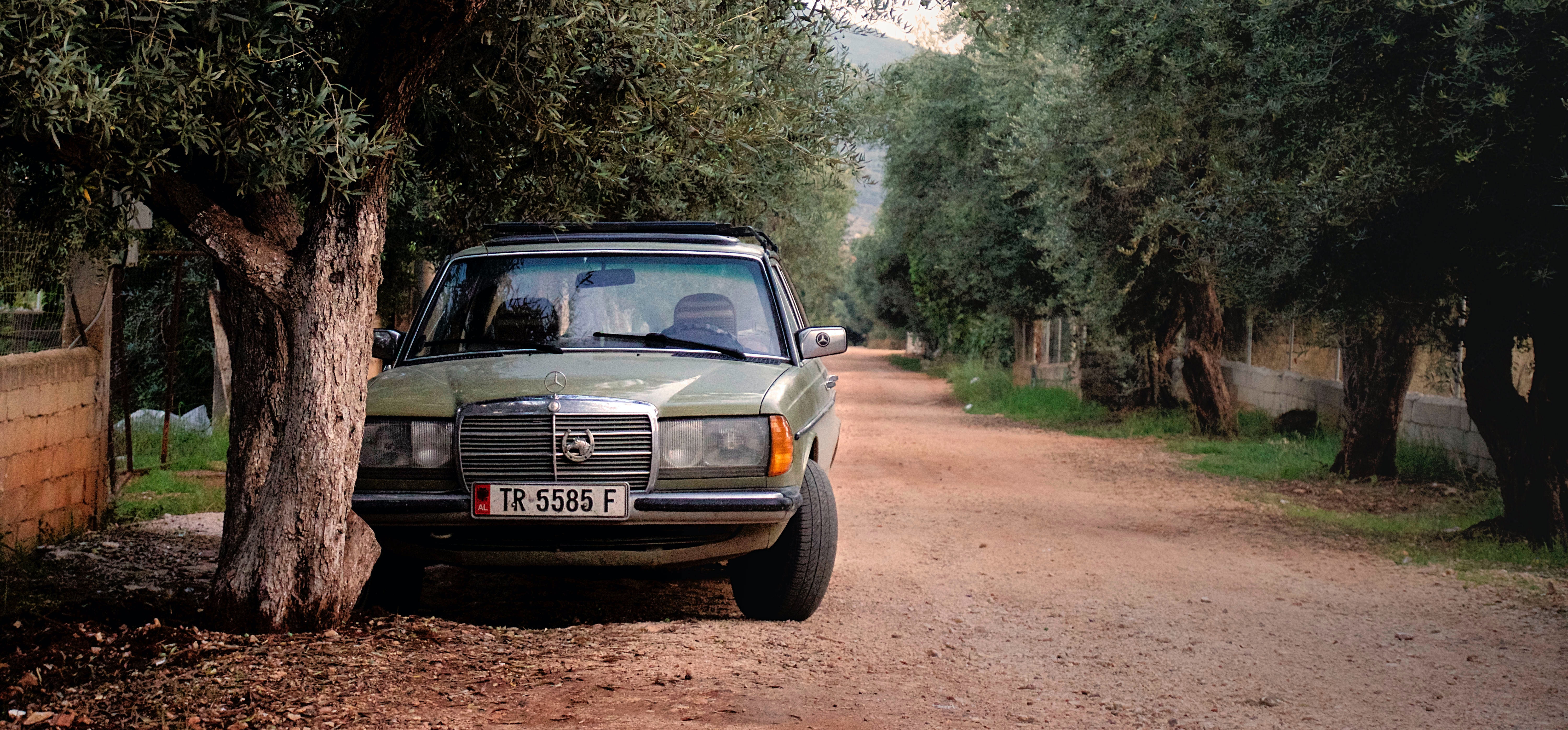 Green Mercedes Benz W123 Parked Near Tree · Free