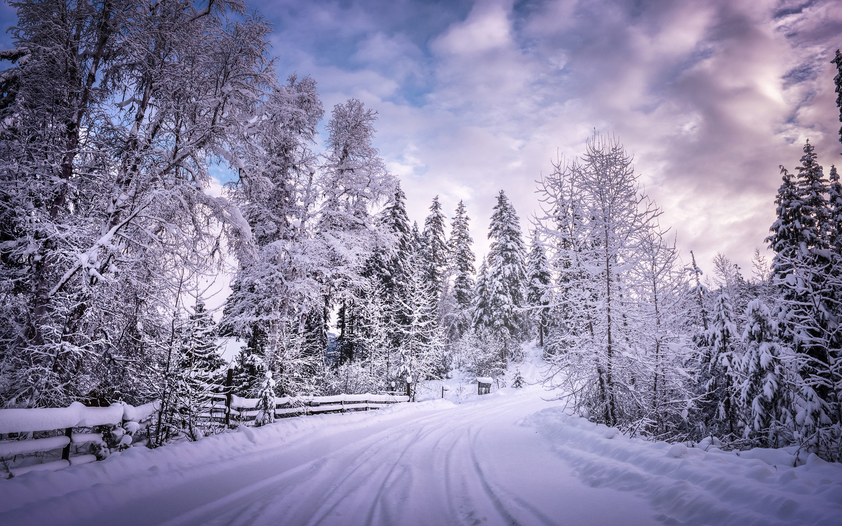 Winter Road Snow Trees White 1680x1050 Resolution HD 4k Wallpaper, Image, Background, Photo and Picture
