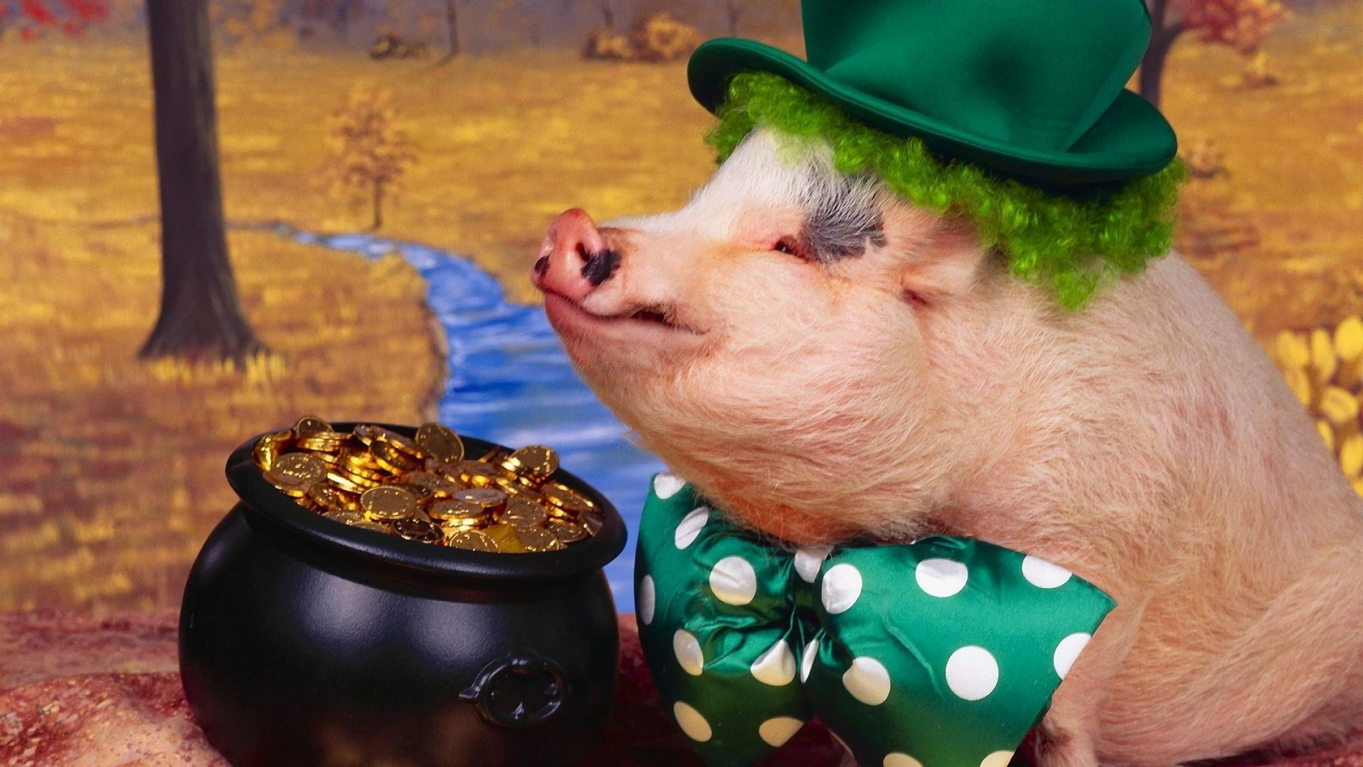 Pigs dressed in clothes HD Wallpaper