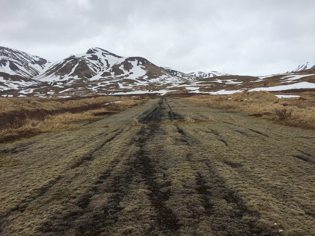 The old runway on Attu Island, Alaska. Overgrown, with trac