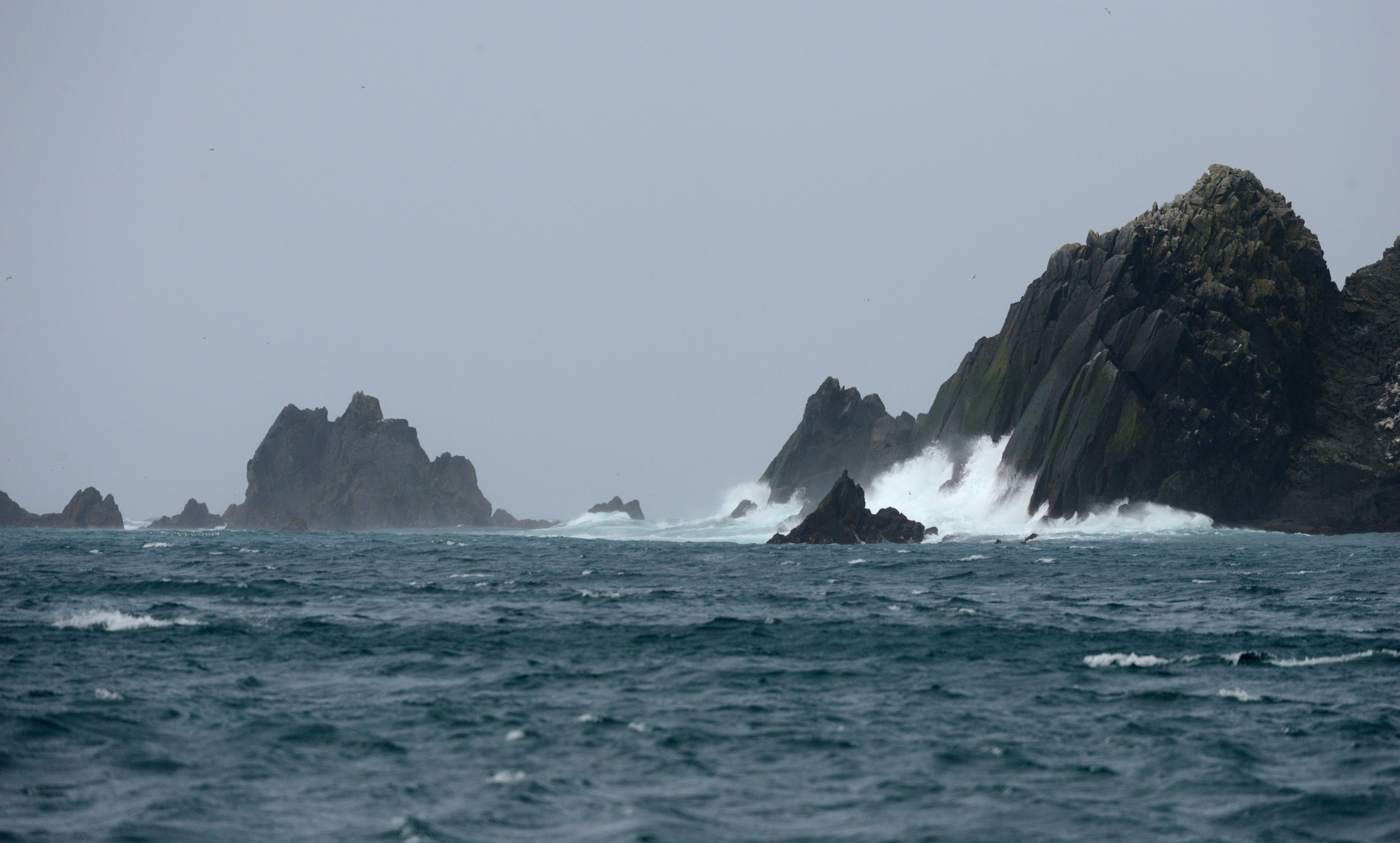 Buldir Island a 'life changer' for seabird researchers Public Media