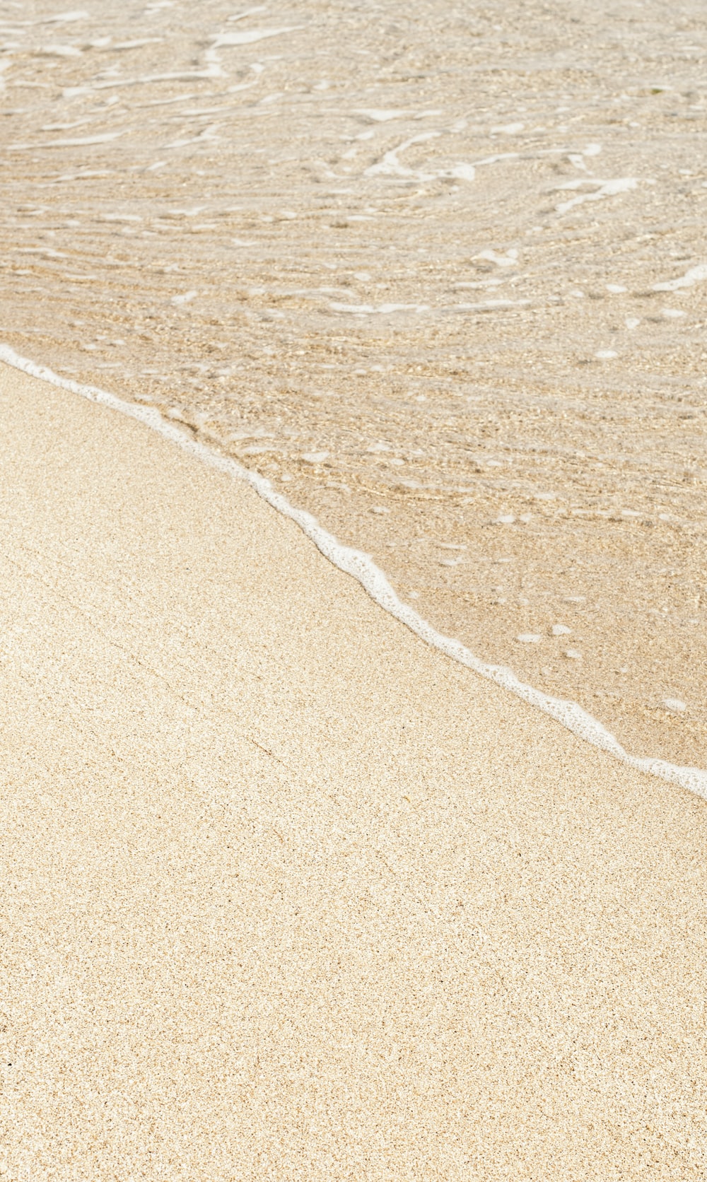 Beige Picture [HD]. Download Free Image
