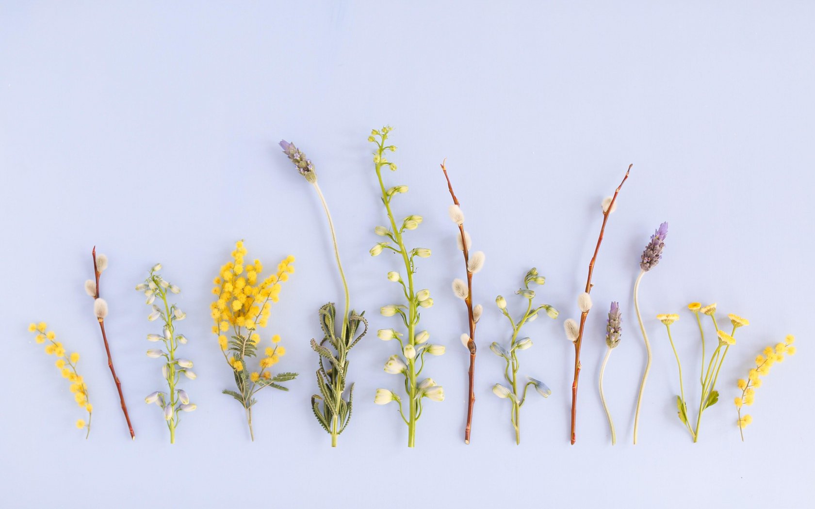 Free download Desktop Wallpaper 32 Group Wallpaper [3787x2525] for your Desktop, Mobile & Tablet. Explore Free Desk Top Wallpaper. Free Desktop Wallpaper Spring Scenes, Free Desktop Themes Wallpaper Downloads