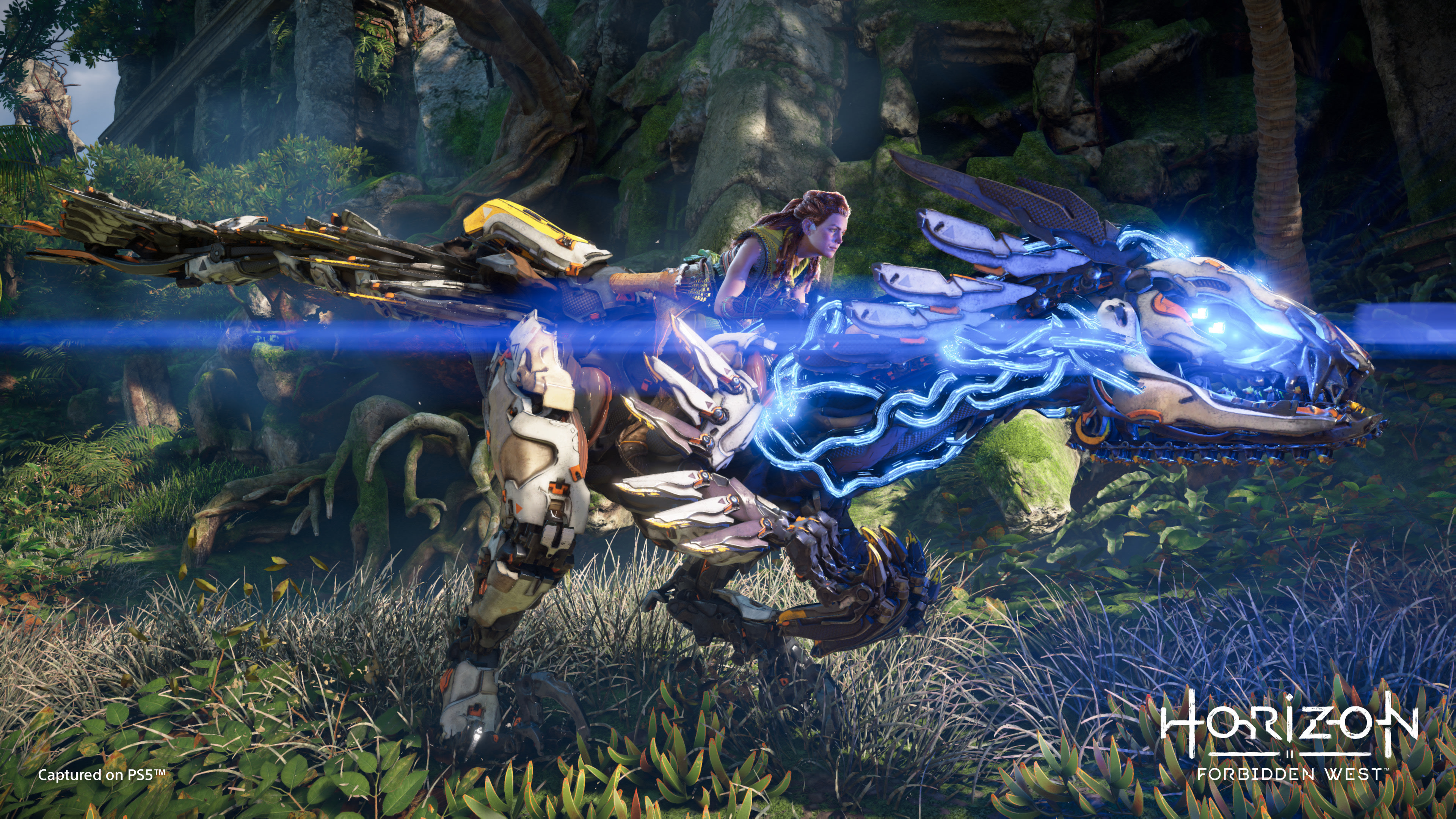 Horizon Forbidden West 4k Ultra HD Wallpaper