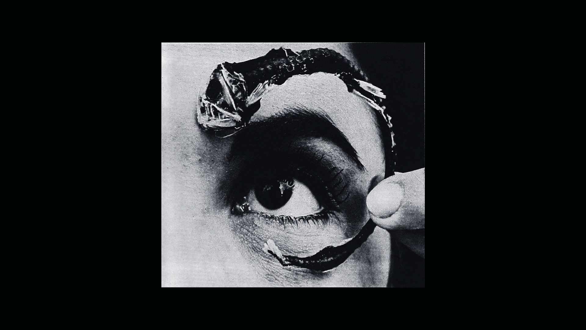 Mr Bungle Disco Volante Wallpaper