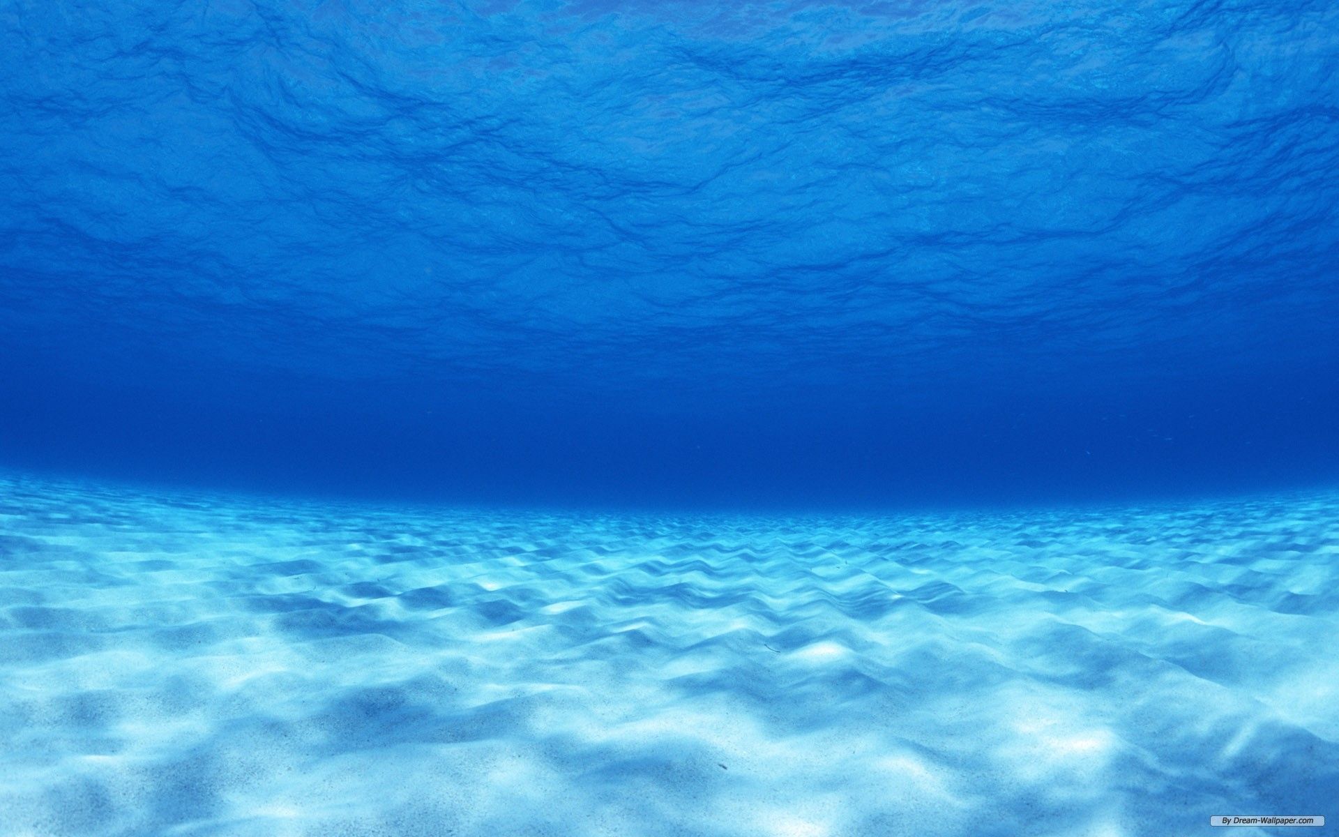 Underwater Sand wallpaper. Beach wallpaper, Underwater wallpaper, Underwater