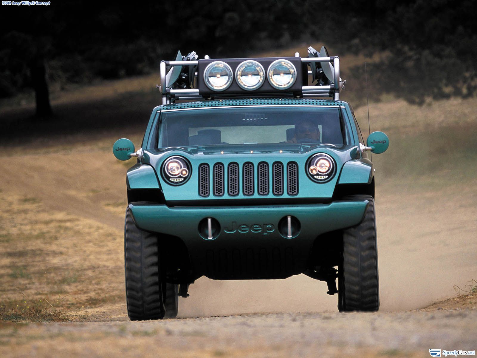 Jeep Willys picture. Jeep photo gallery