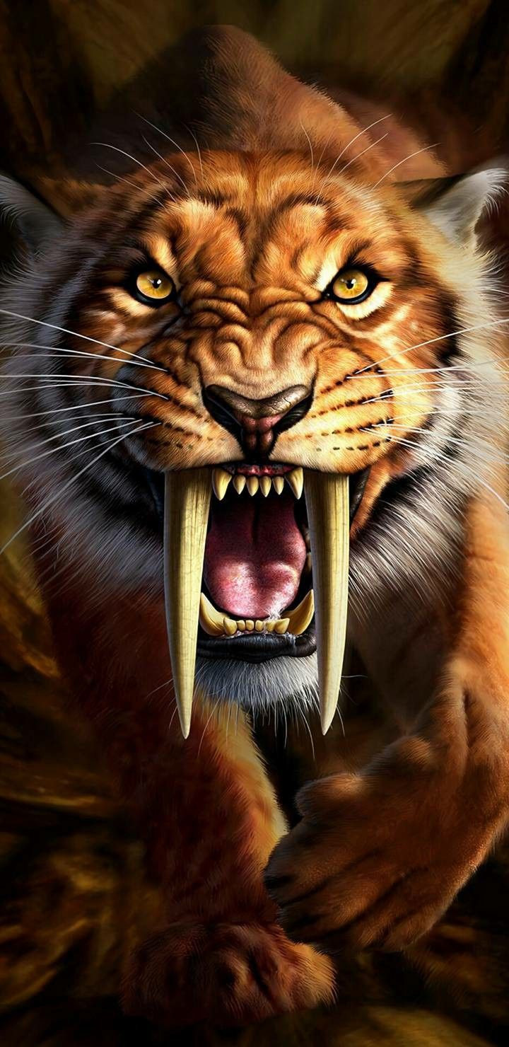 4k Ultra HD Lion wallpaper for Android and iPhone