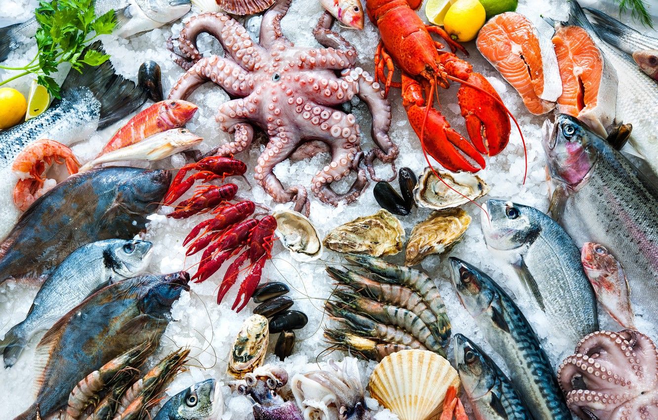 Seafood Wallpaper