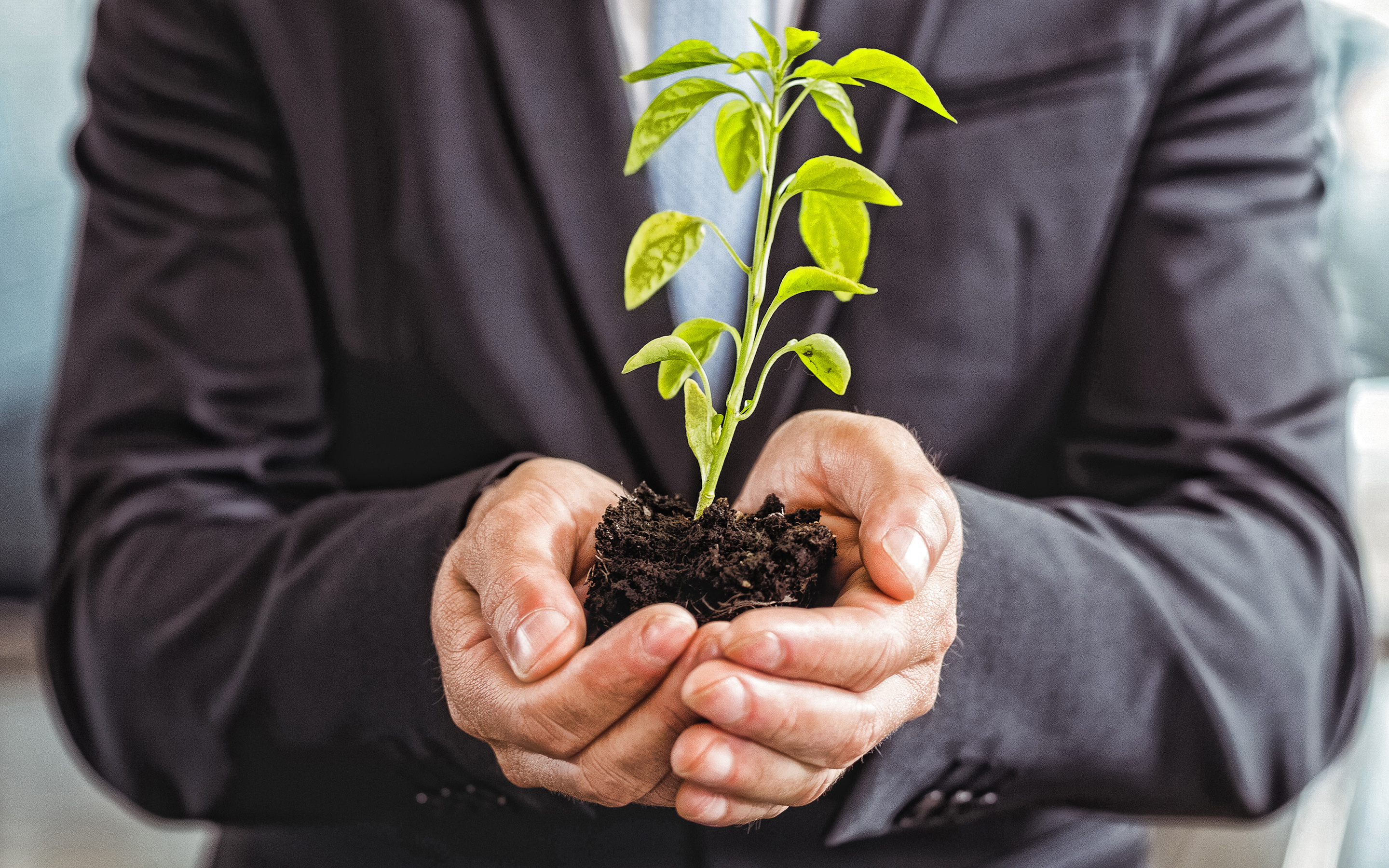 Download wallpaper green sprout in the hands, Growth concepts, investment concepts, businessman, business people, green sprout for desktop with resolution 2880x1800. High Quality HD picture wallpaper