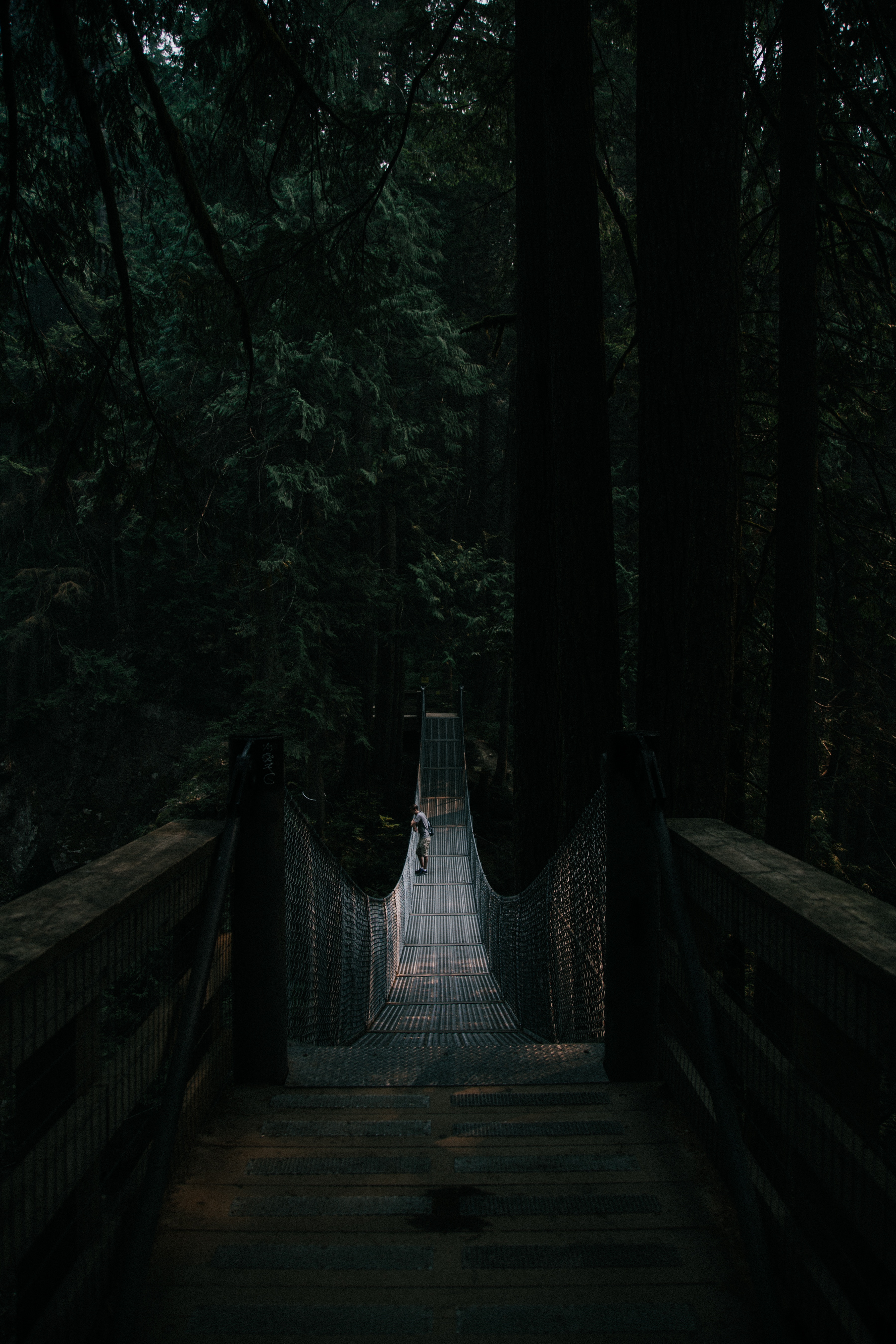 Download wallpaper 3601x5401 bridge, suspension bridge, solitude, forest, dark HD background