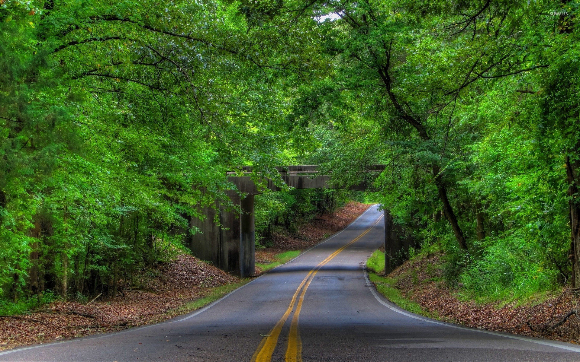 Road under the stone forest bridge wallpaper wallpaper