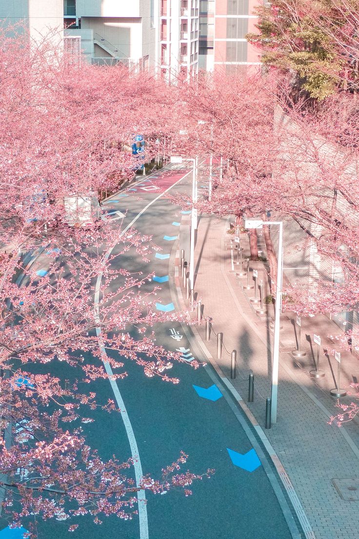 Best Places to See Cherry Blossoms in Tokyo + Free Guide. Scenery wallpaper, Anime scenery wallpaper, Aesthetic japan