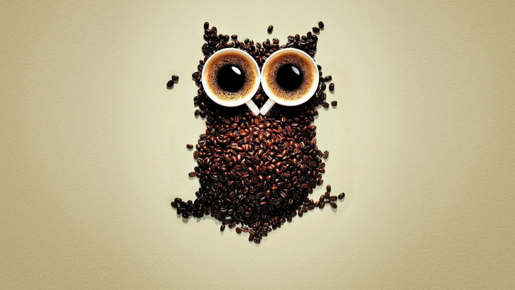 Owl Wallpaper, Beans, Coffee Beans, Funny, Cup, Cups • Wallpaper For You