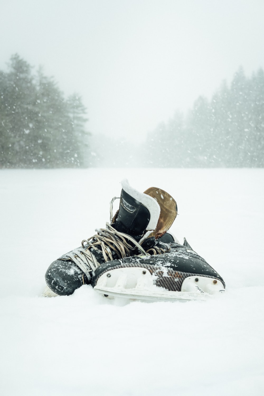 Hockey Skates Picture. Download Free Image