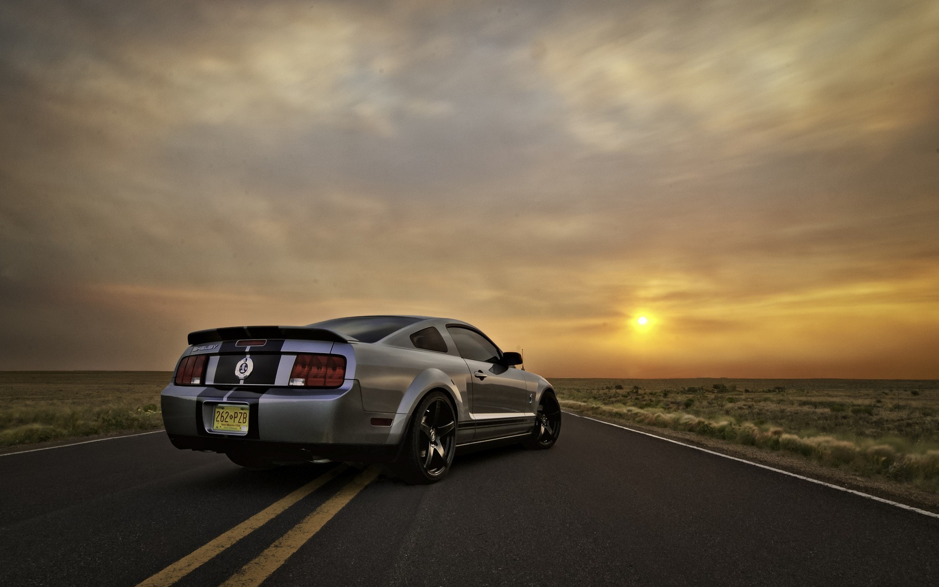 Ford Mustang Silver, HD Cars, 4k Wallpaper, Image, Background, Photo and Picture
