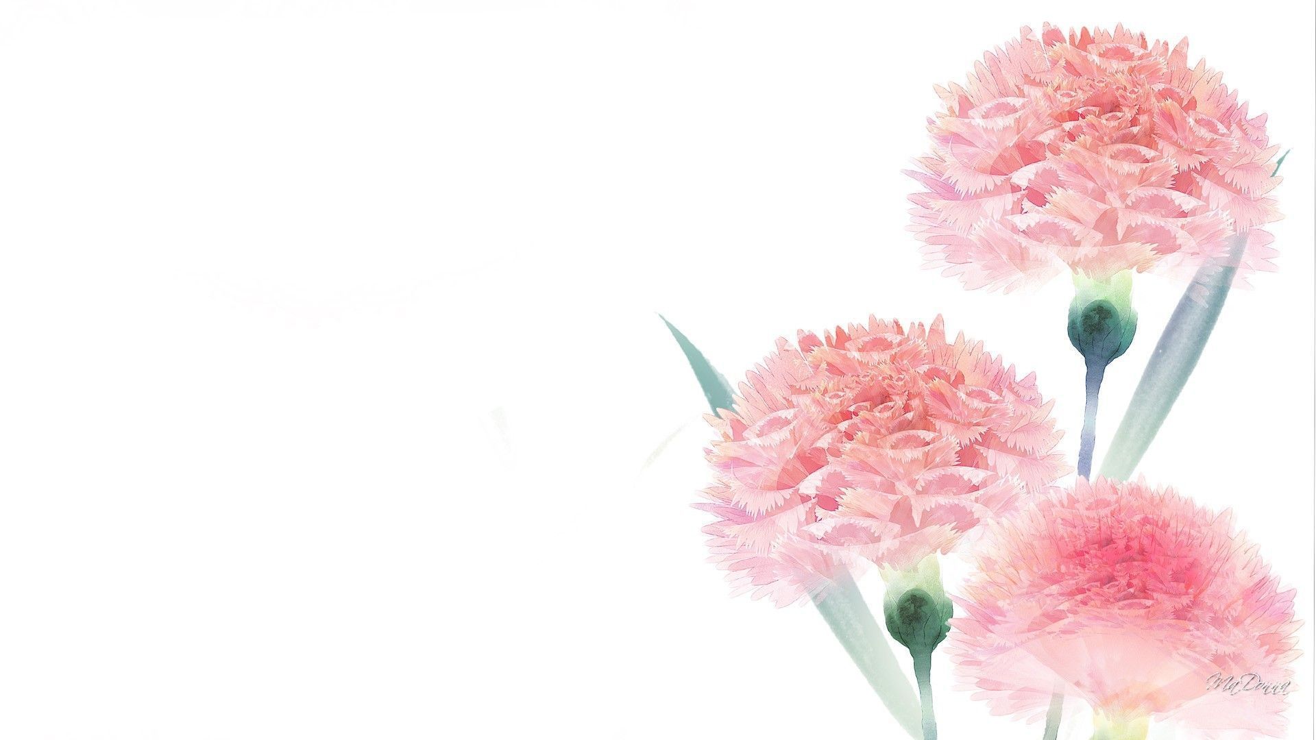 Simple Floral Desktop Wallpaper, HD Simple Floral Desktop Background on WallpaperBat