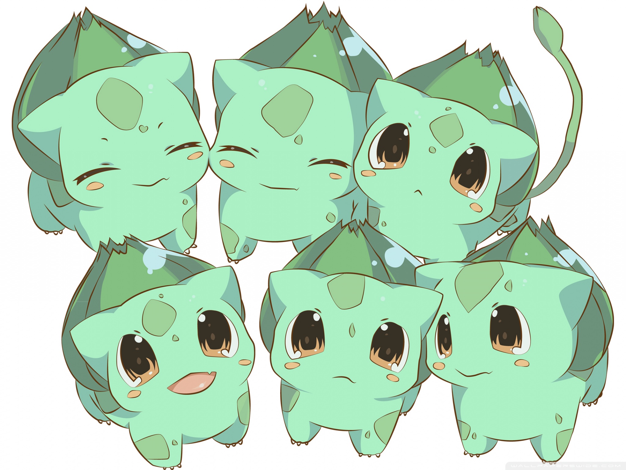 Pokemon Bulbasaur Chibi Wallpaper:2048x1536